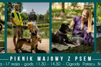 Piknik Majowy z Psem
