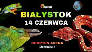 Targi Akwarystyki i Terrarystyki