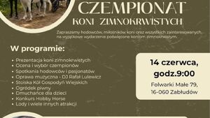 IV Czempionat Koni Zimnokrwistych w Zabłudowie 