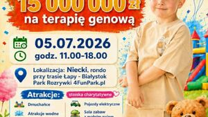 Charytatywny Festyn dla Nikodema