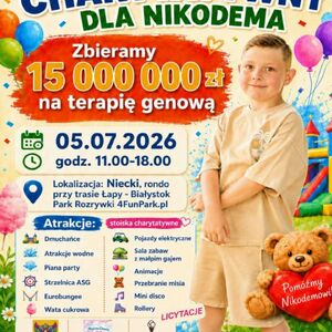 Charytatywny Festyn dla Nikodema