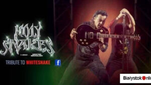 Tribute to Whitesnake