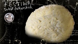 Festiwal LALKANIELALKA: Moby Dick