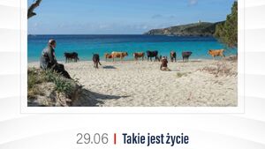 Takie jest życie | Kino Konesera