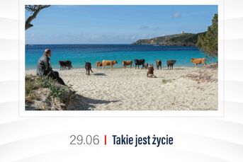 Takie jest życie | Kino Konesera