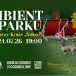 Ambient w Parku