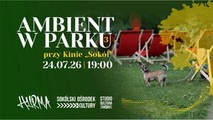 Ambient w Parku