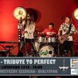 Unu | Tribute to Perfect