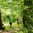 Kresowe Trail - Narewka
