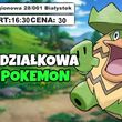 Poniedziałkowa Liga Pokemon w Magicznym Rynku