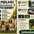 XXI i XXII Międzynarodowa Wystawa Psów Rasowych CACIB Białystok 2026