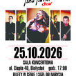 Tina Turner Show