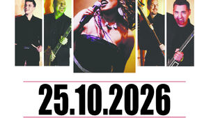 Tina Turner Show