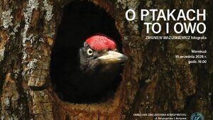 O ptakach to i owo | Zbigniew Mazurkiewicz | fotografia