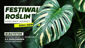 Festiwal Roślin w Białymstoku