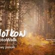 SloWołkow PhotoWalk | Barwy jesieni