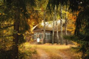 Małgorzata Pawelczyk: Pamięć drewna – wernisaż