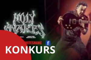 Tribute to Whitesnake