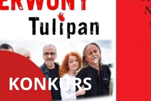 Czerwony Tulipan - Nasz Miszmasz