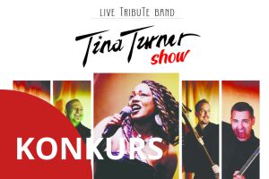 Tina Turner Show