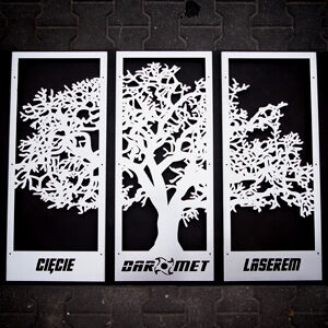 Wycinanie laserem | Cięcie laserowe | Obróbka metali | Wypalanie blach