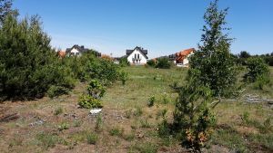 | Działka BUD | ~850 m2 | MPZP | ul. Niemeńska | os. Wyżyny |