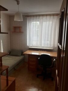 pokój w centrum do wynajęcia