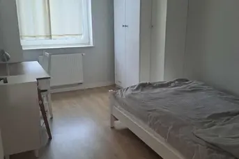 Pokój na Wierzbowej/ Antoniuk