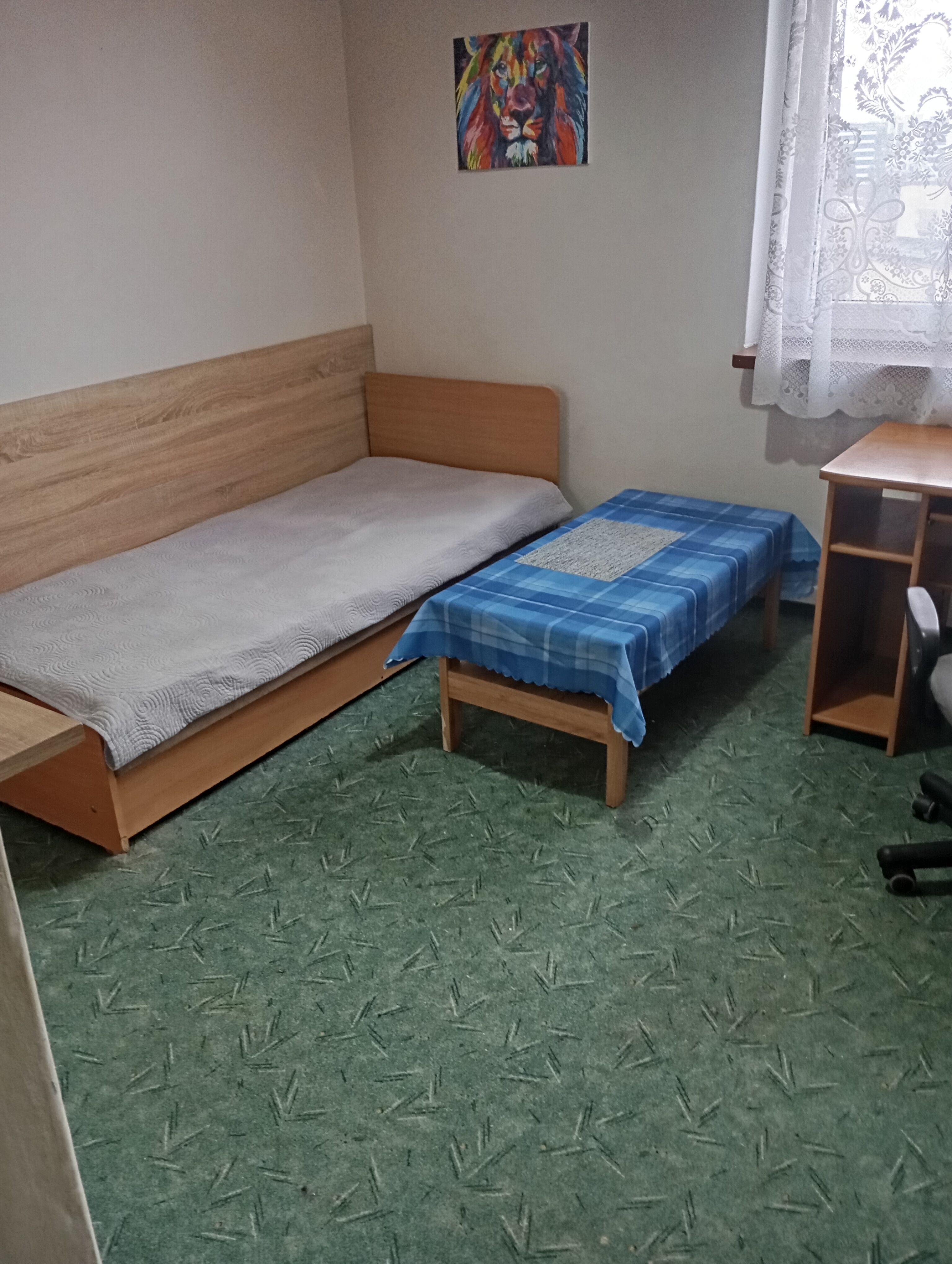 Wynajmę pokój jednoosobowy w centrum bez kaucji