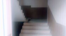+/- 400m2 dom/1500m2 działka. tanio/charytatywnie 