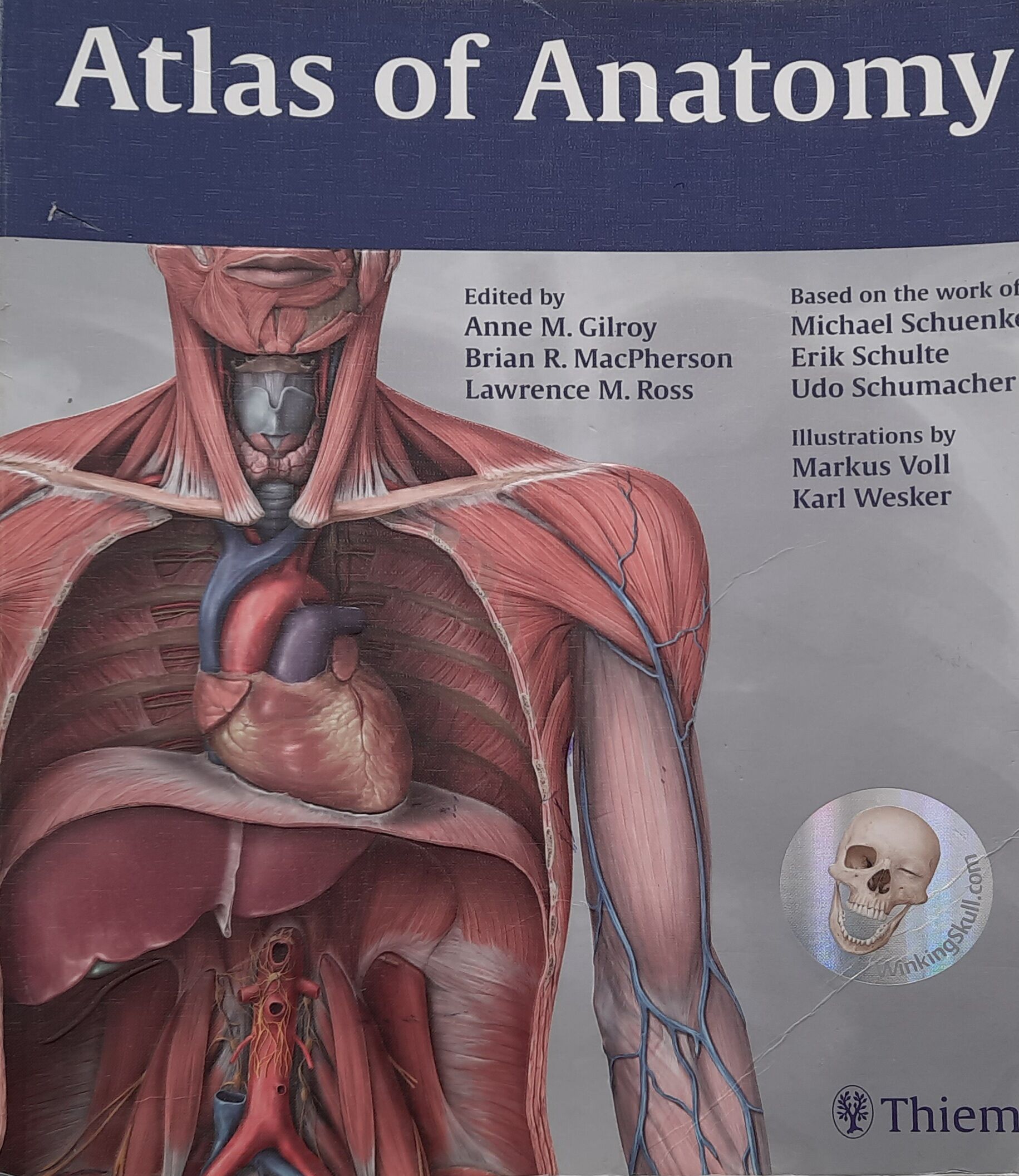 Atlas anatomii człowieka