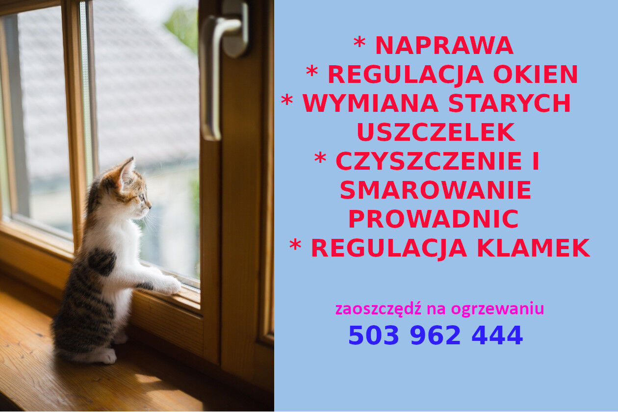 Naprawa i regulacja okien