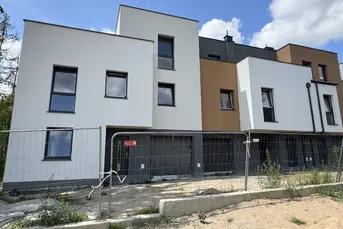 Prestiżowe Skorupy - Promocyjne ceny