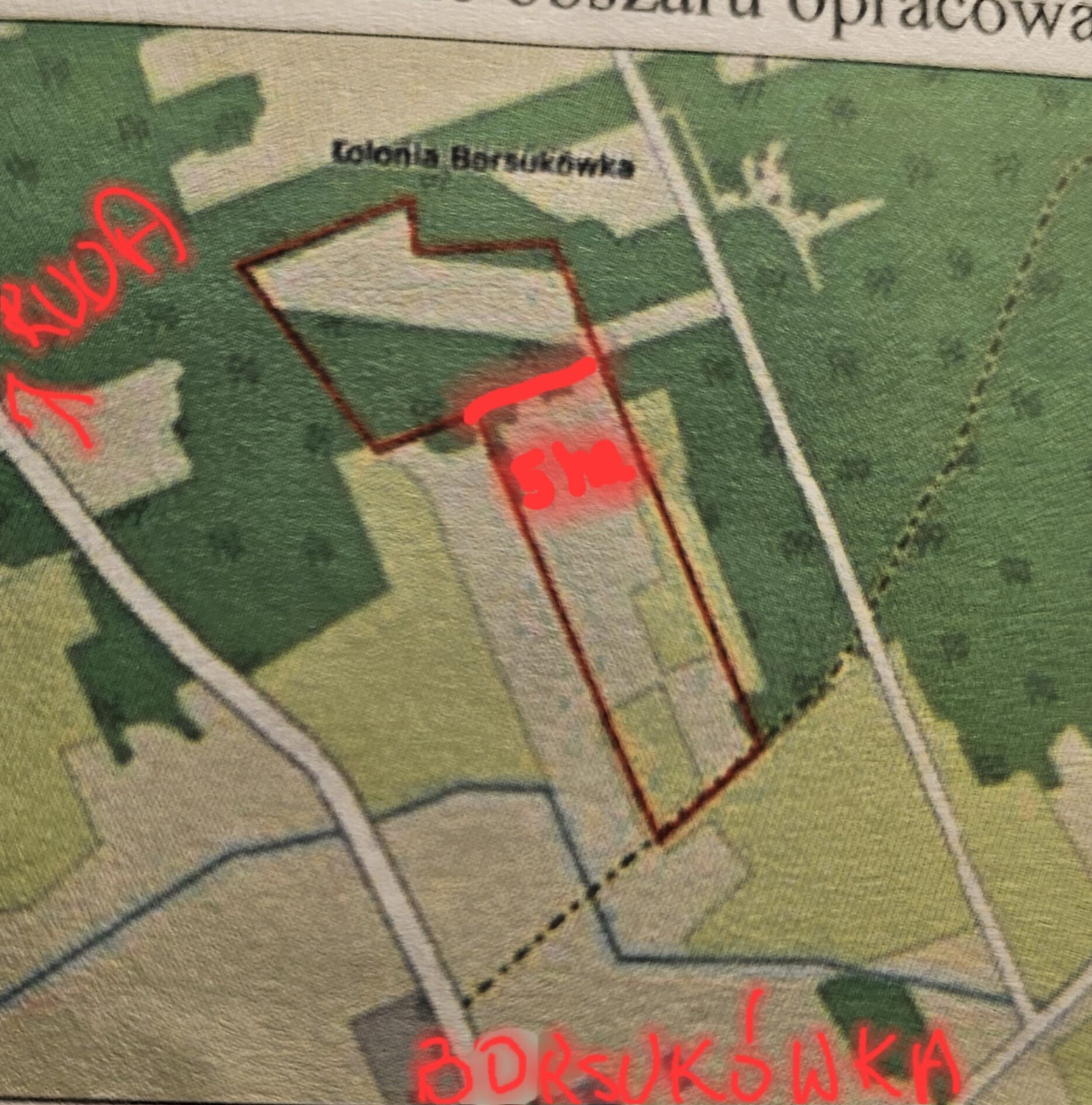 sprzedam ziemie 5 ha