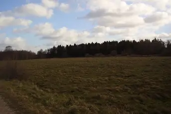 Działka inwestycyjna- pow. 3,07 ha, KURIANY