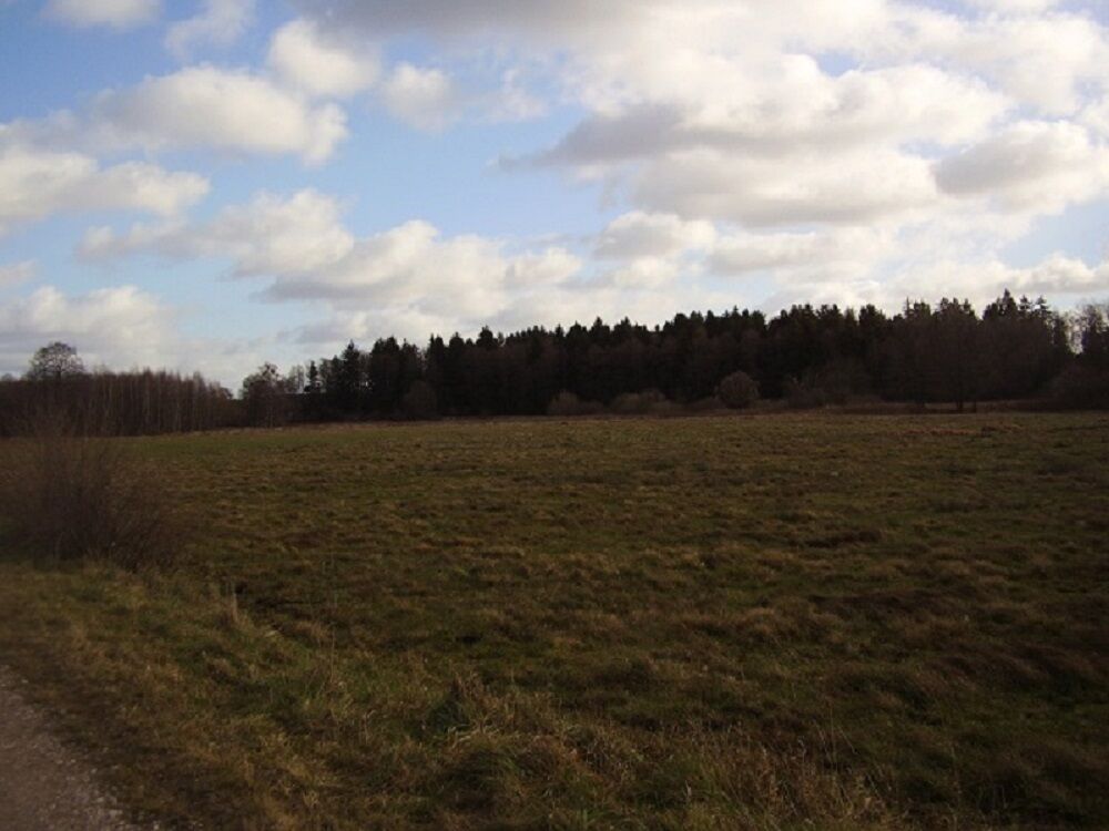 Działka inwestycyjna- pow. 3,07 ha, KURIANY