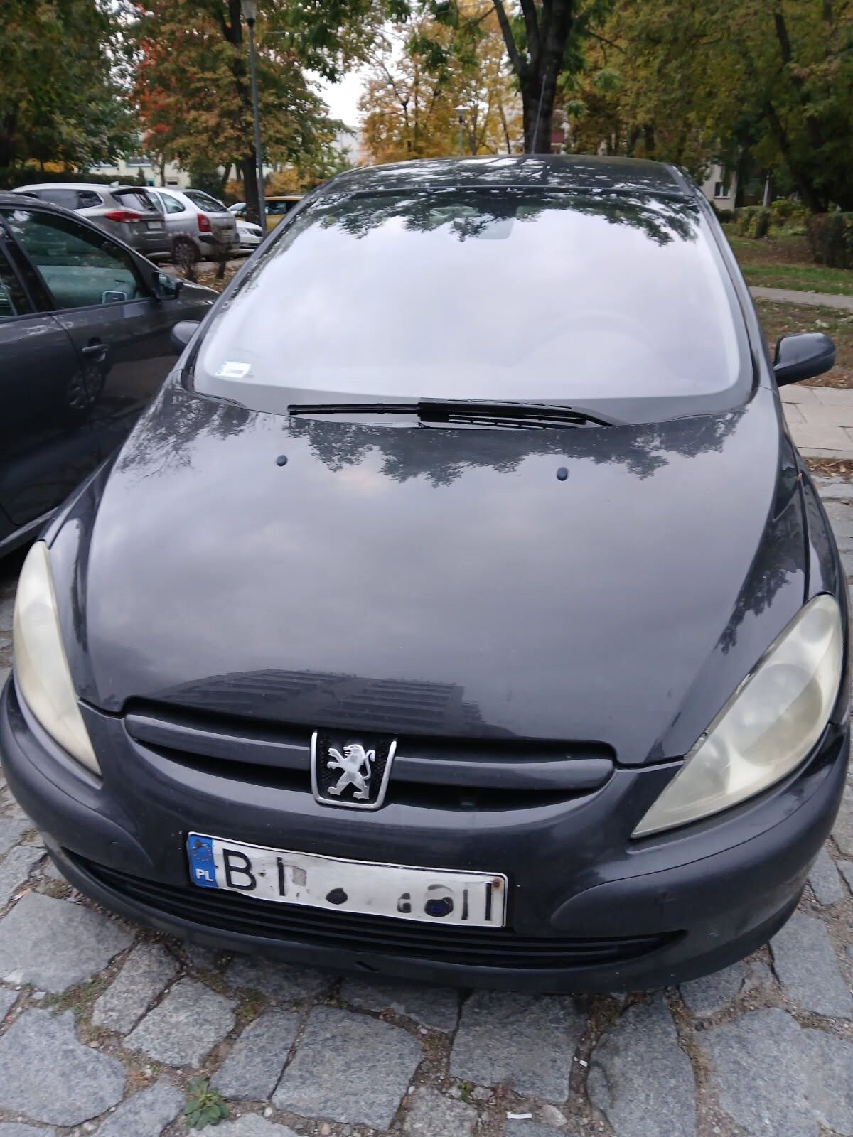 Peugeot 307 1.6 hdi