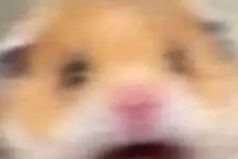 Szukam pracy do przyuczenia 