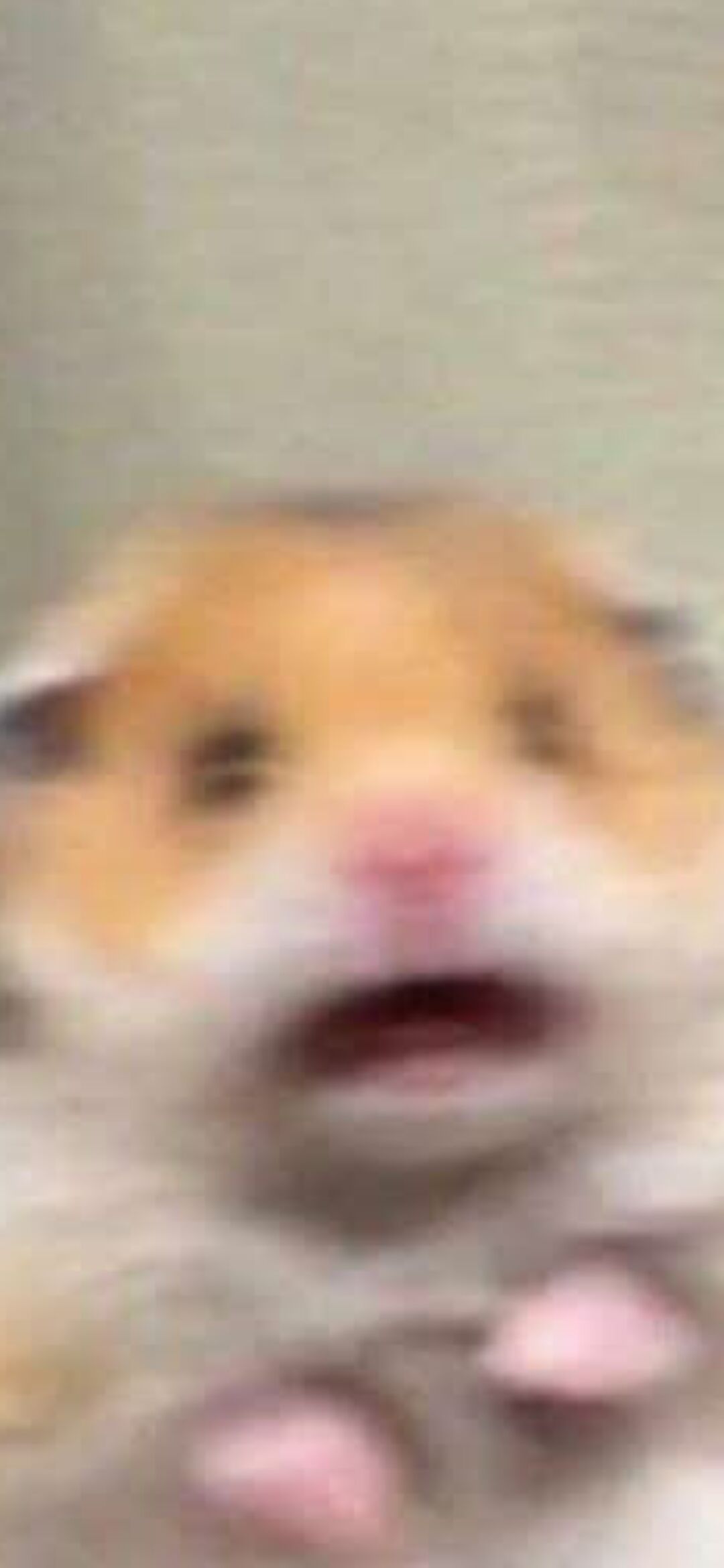 Szukam pracy do przyuczenia 