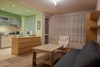 Wynajmę mieszkanie - kawalerka ul. Mickiewicza