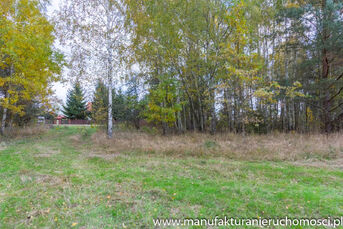 DZIAŁKA SKRYBICZE z Warunkami Zabudowy 