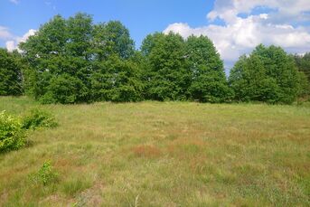 Działka komercyjna, 3 ha, KURIANY