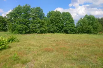 Działka komercyjna, 3 ha, KURIANY