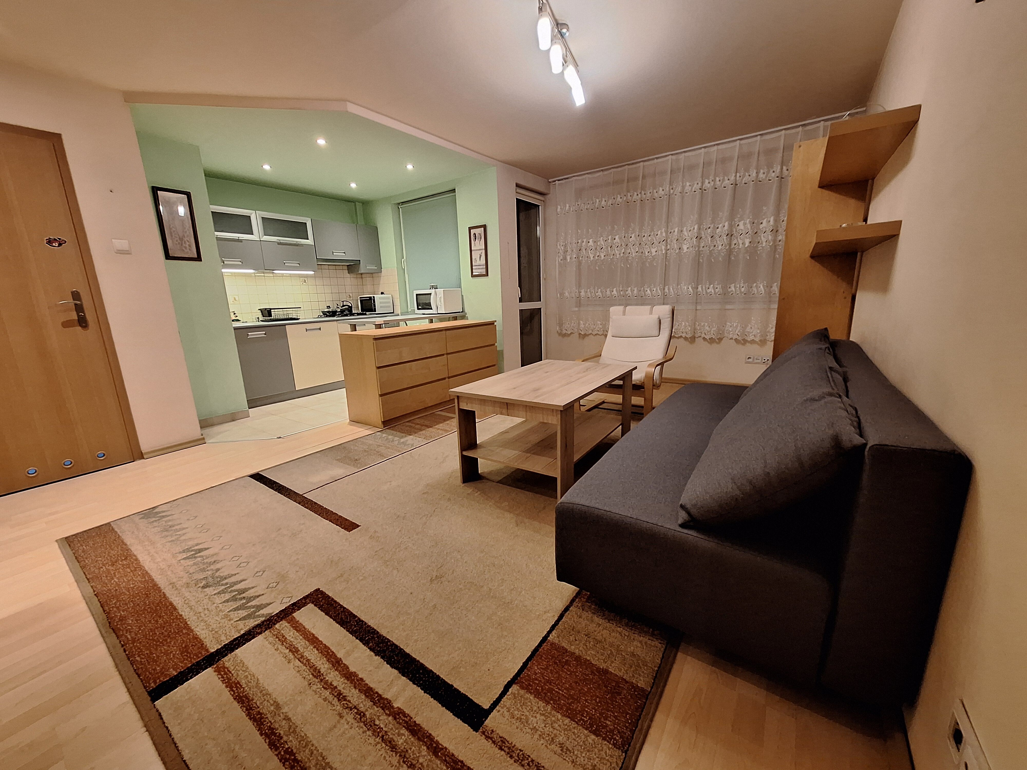 Wynajmę mieszkanie - kawalerka ul. Mickiewicza