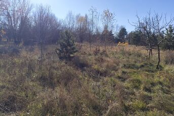 Działka o pow. 1604m2, NAREW