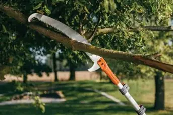 Wycinka gałęzi, wywóz itp.