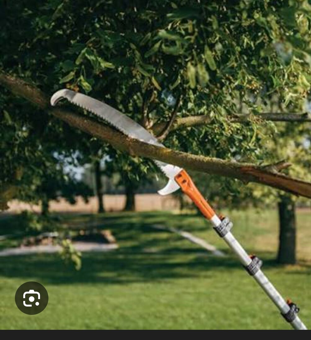 Wycinka gałęzi, wywóz itp.