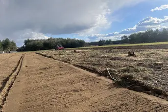 Wycinka drzew samosiewów - mulczer wgłębny