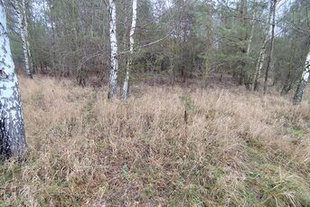 Urokliwa działka, 1136m2, KARAKULE