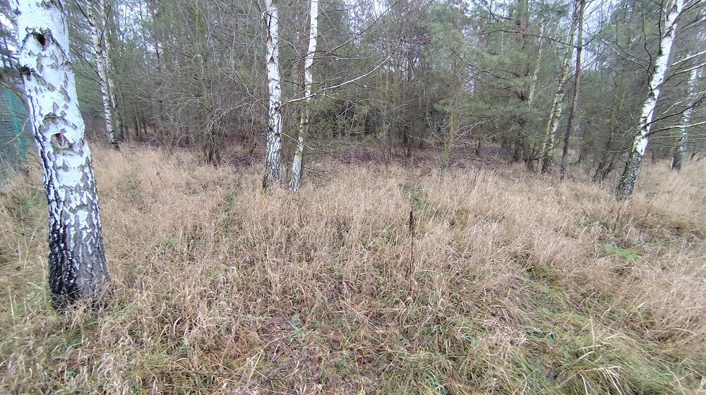 Urokliwa działka, 1136m2, KARAKULE